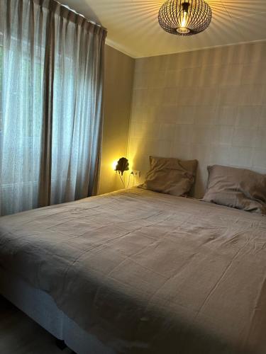 a bedroom with a large bed and a chandelier at Chalet de Blauwe regen in Balkbrug