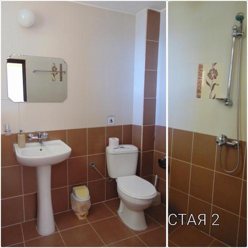 a bathroom with a toilet and a sink at Къща за гости СИАНА in Dospat