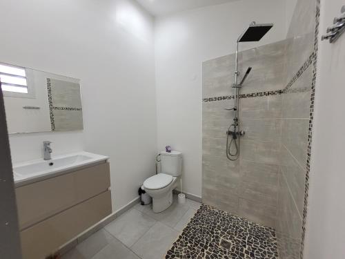 W łazience znajduje się prysznic, toaleta i umywalka. w obiekcie Do-Lambis et Do-Corrosol w mieście Baie-Mahault