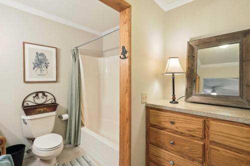 een badkamer met een toilet en een spiegel bij Lakefront Hamilton Cabin with Dock and Fire Pit! in Hamilton