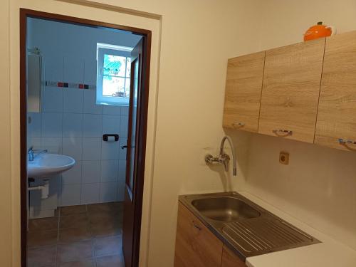 ein kleines Bad mit einem Waschbecken und einer Dusche in der Unterkunft Apartmán Bokova chata in Nové Hutě