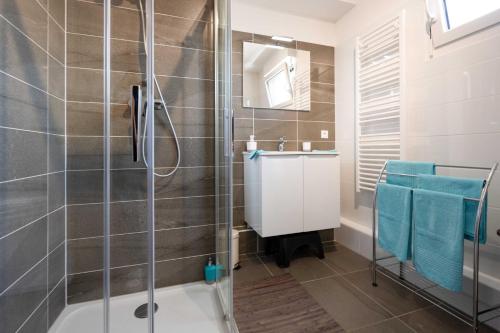 bagno con doccia e lavandino di Superbe Loft Center of Saverne Bike Parking a Saverne