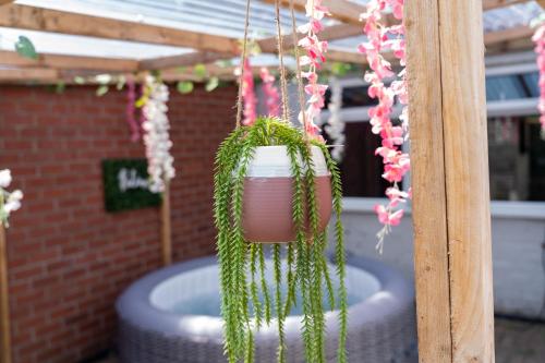 a hanging planter with a plant in it at Exclusive Deals l Last-Minute Reserve l Townhouse with Sleeps 6 l Braunstone Town , Leicester l By Zen Nights Short Lets & Serviced Accommodations in Braunstone