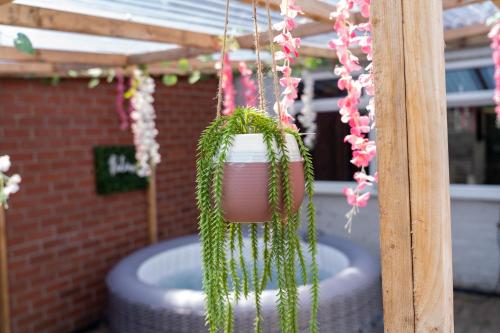 a hanging planter with a plant in it at Rare Hot Tub Town House with Free Parking Sleeps 6 in Braunstone