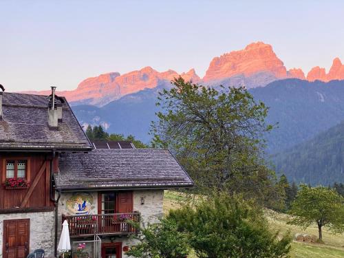 a house with a mountain in the background at Monolocale in chalet alpino 022143-AT-010681 in Madonna di Campiglio