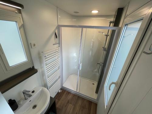 ein Bad mit einer Dusche und einem Waschbecken in der Unterkunft Chalet Het Edelhert in Zutendaal