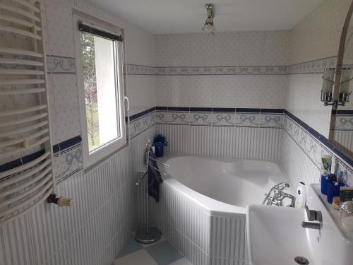 uma casa de banho com uma banheira, um lavatório e uma janela em DOM W SUDETACH 