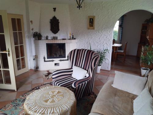 a living room with a couch and a fireplace at DOM W SUDETACH in Smreczyna