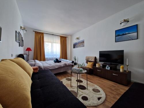 a living room with a couch and a flat screen tv at Hillside Predeal in Predeal