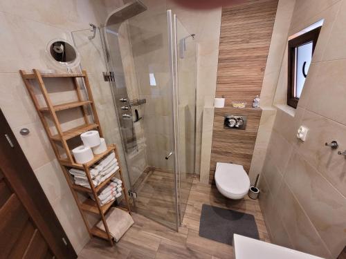 a bathroom with a toilet and a glass shower at Domek w Bieszczadach in Lutowiska