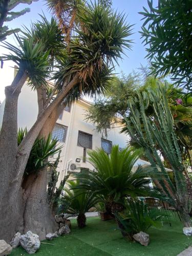 a group of palm trees in front of a building at Villa Luigi XVI in Taranto