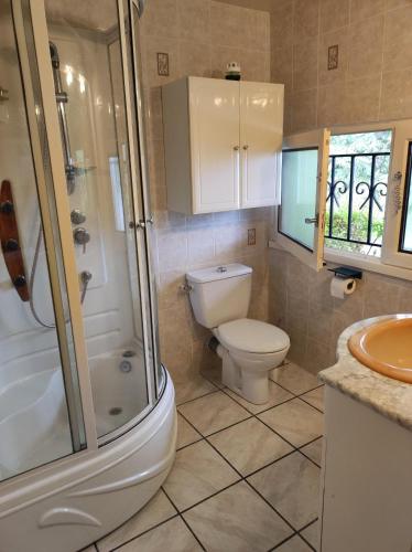 La salle de bains est pourvue de toilettes, d'une douche et d'un lavabo. dans l'établissement Le Lorry 2, à Laruns