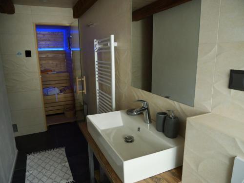 a bathroom with a white sink and a mirror at Apartmán Danuše in Česká Lípa