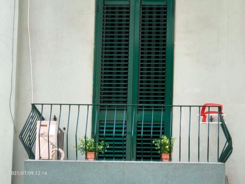 okno z zieloną okiennicą i dwie rośliny na balkonie w obiekcie Ethos - il posto da vivere w mieście Tarent
