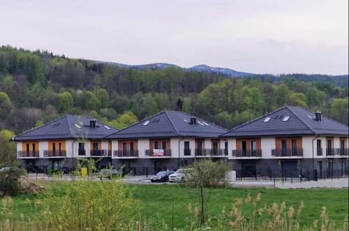 grupa domów z drzewami w tle w obiekcie Apartament rodzinny Słoneczna Sosnówka w mieście Sosnówka
