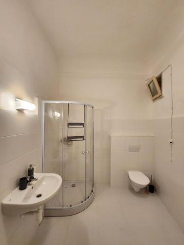 a bathroom with a shower and a sink and a toilet at Zámek Ruda nad Moravou in Ruda na Moravě