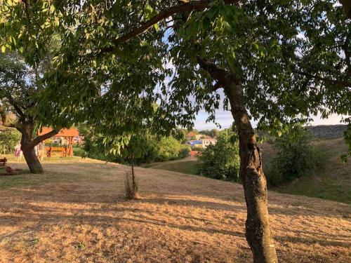 a group of trees in a field with a park at Apartmány na Vršku in Plzeň