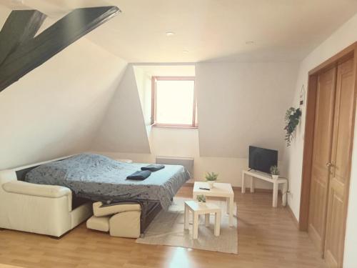 1 dormitorio con cama, sofá y TV en Olivia, en Soultz-Haut-Rhin