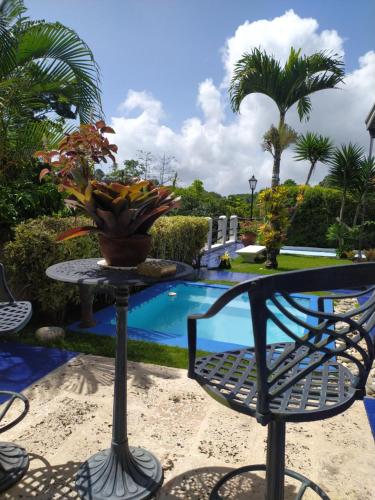 une table avec une plante à côté d'une piscine dans l'établissement Posadas Le Petit Inn, à Caracas