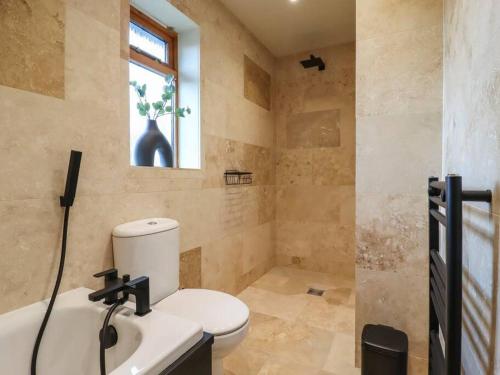 a bathroom with a toilet and a sink and a window at Beautiful home with hot tub near Cambridge in Royston