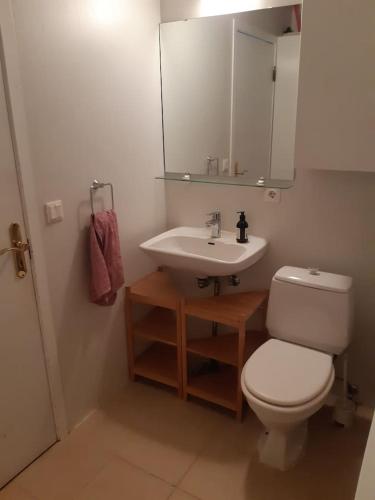 ein Badezimmer mit einem WC, einem Waschbecken und einem Spiegel in der Unterkunft Eiðistorg apt in Reykjavík