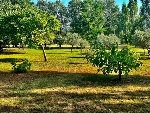 a field of grass with trees in a park at Domaine Plan des Devens in Roussillon