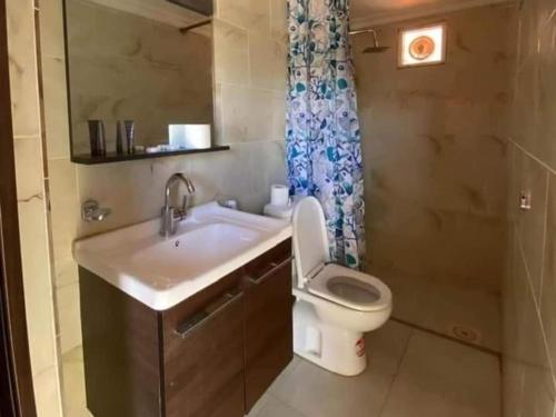 uma casa de banho com um lavatório, um WC e um chuveiro em Wadi Rum Gulf camp em Aqaba