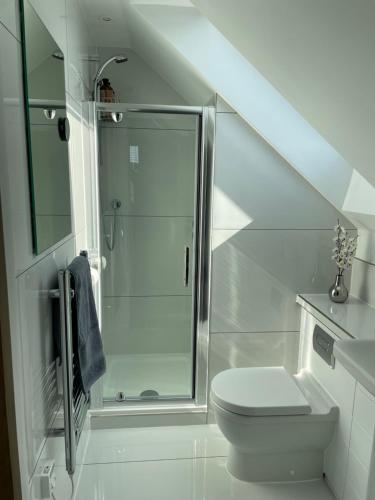 a white bathroom with a shower and a toilet at The Top Floor in Stretham