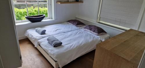 a small bed in a room with a window at Amsterdam Mansion - Rembrandt in Oostzaan