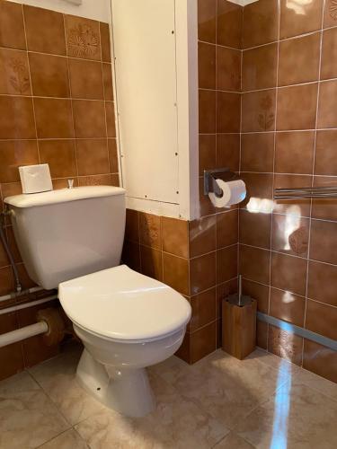 a bathroom with a white toilet and a sink at Motel - Location studio 2 personnes in Morbier