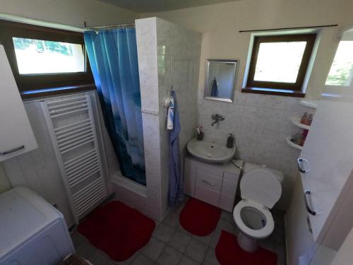 a bathroom with a toilet and a sink at Chata Vikinka - dovolená v přírodě 