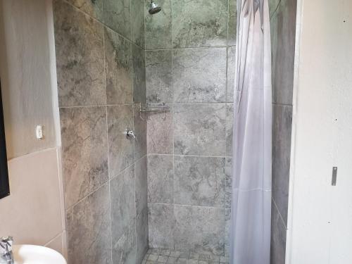 a bathroom with a shower with a toilet and a sink at The Private and Cosy Guest House 2 in Germiston