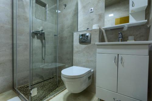 a bathroom with a toilet and a glass shower at Apartment Vila Simovic in Zlatibor