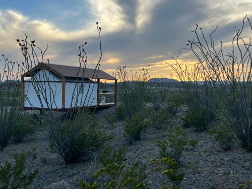 un piccolo edificio in mezzo a un campo di Rancho de los Arboles Muertos a Terlingua