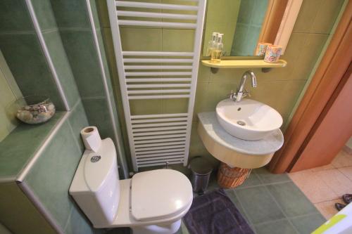uma pequena casa de banho com WC e lavatório em Maria's house Alykes em Kritharia