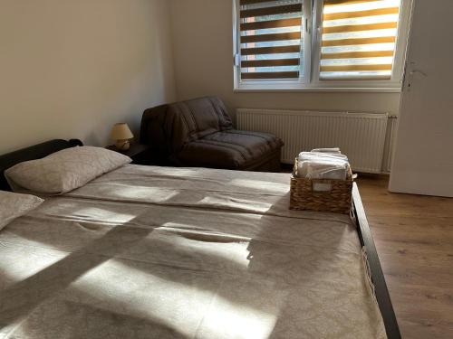 1 dormitorio con 1 cama, 1 silla y 1 ventana en Odiseja en Kikinda
