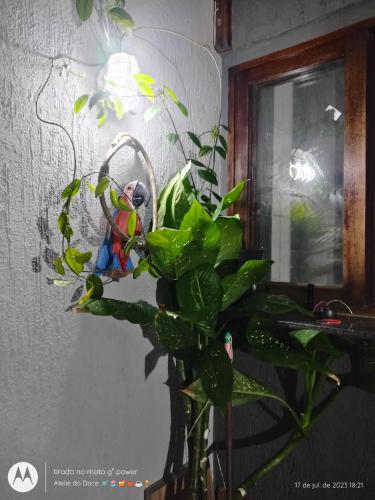 Casa Suites