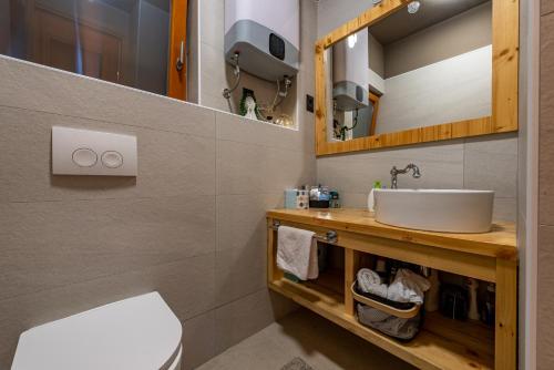 a bathroom with a sink and a mirror at Vila Lipa in Ličko Cerje