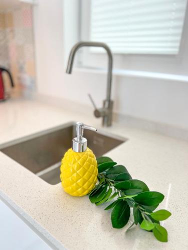 Apartamento el Paraiso
