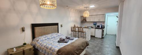 Conesa Suite – Photos 5