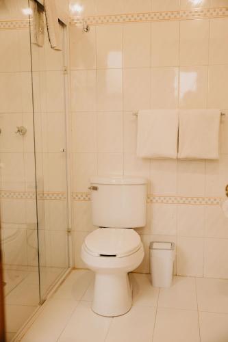 a white bathroom with a toilet and a shower at Hotel Casa Pereyra in Oaxaca City