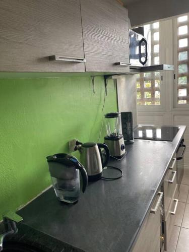 una encimera de cocina con 2 electrodomésticos en una pared verde en Appart charmant - Lumineux en Les Abymes
