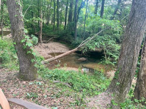 Tentrr Signature Site - Stargazing at Hidden Creek