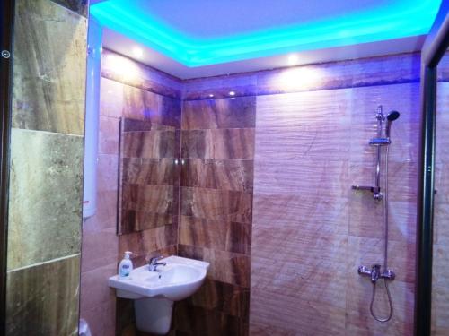 uma casa de banho com um lavatório e um chuveiro com um lavatório. em "При братята" - Apartments & Studios em Sandanski