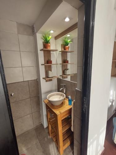uma casa de banho com um lavatório e um espelho em Bed & bikes Mendoza em Mendoza