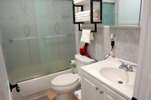 La salle de bains est pourvue d'une douche, de toilettes et d'un lavabo. dans l'établissement Serene Escape Leave Worries Behind, à Wilkes-Barre