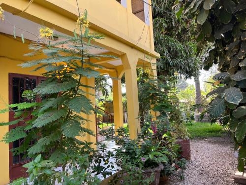 Zahrada ubytování Boli Boli Guesthouse