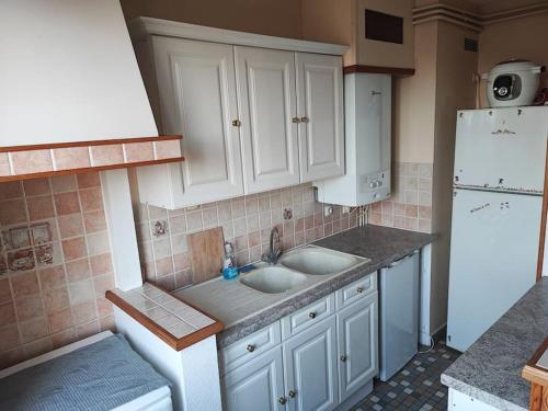 La cuisine est équipée de 2 lavabos et d'un réfrigérateur blanc. dans l'établissement F3 plein centre ville de Gien, à Gien