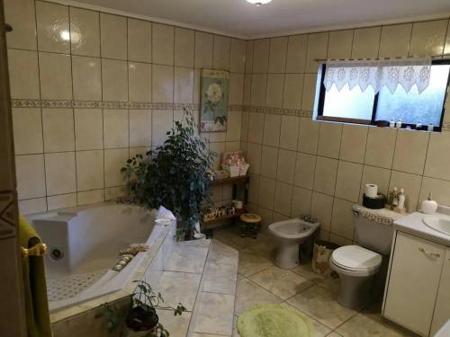 y baño con bañera, aseo y lavamanos. en Habitación matrimonial deluxe Casa Tierra Elquina en Vicuña