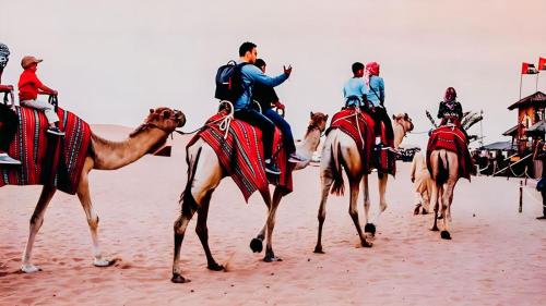 a group of people riding on horses in the desert at Serendipity desert Camp in Thar Desert in Jaisalmer